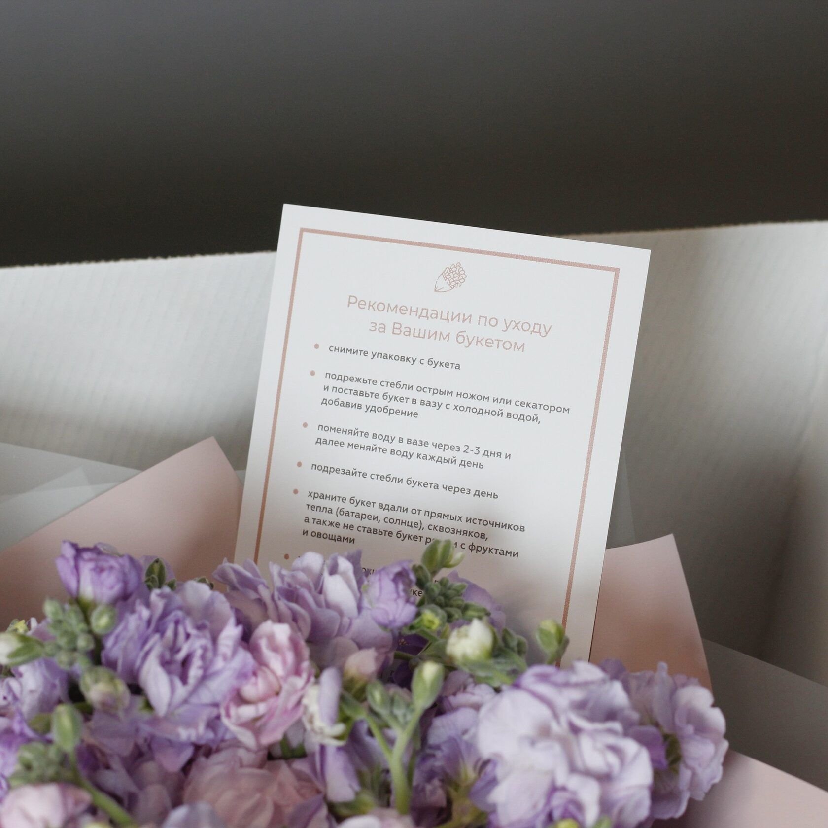 Подскажем, как ухаживать