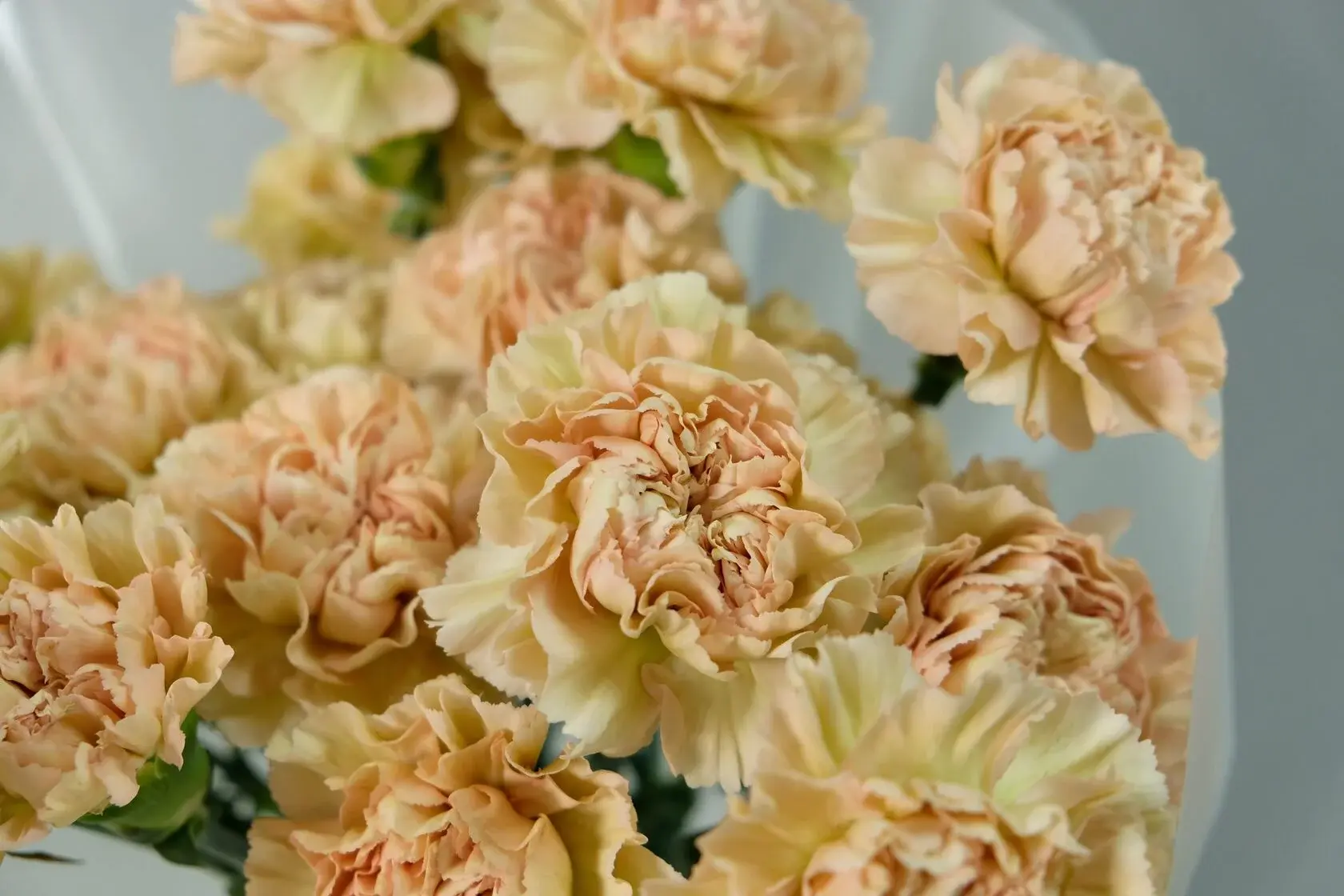 Сезонные букеты на все времена года