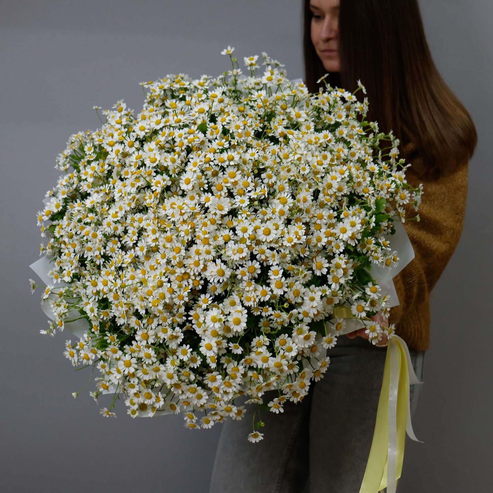 Ромашка Камилла