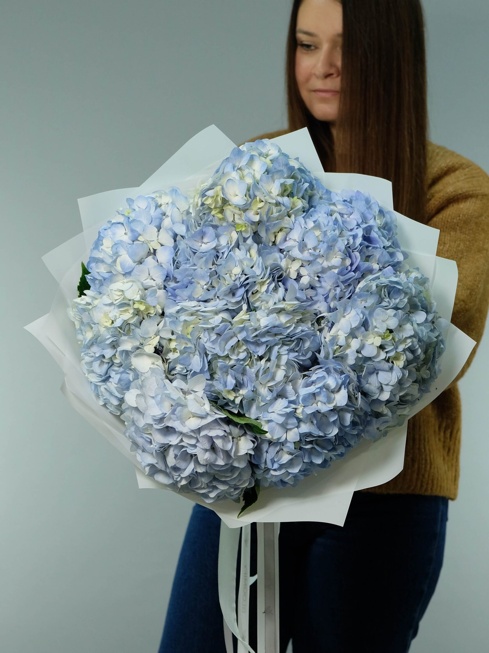 Бело-голубые гортензии (Колумбия)