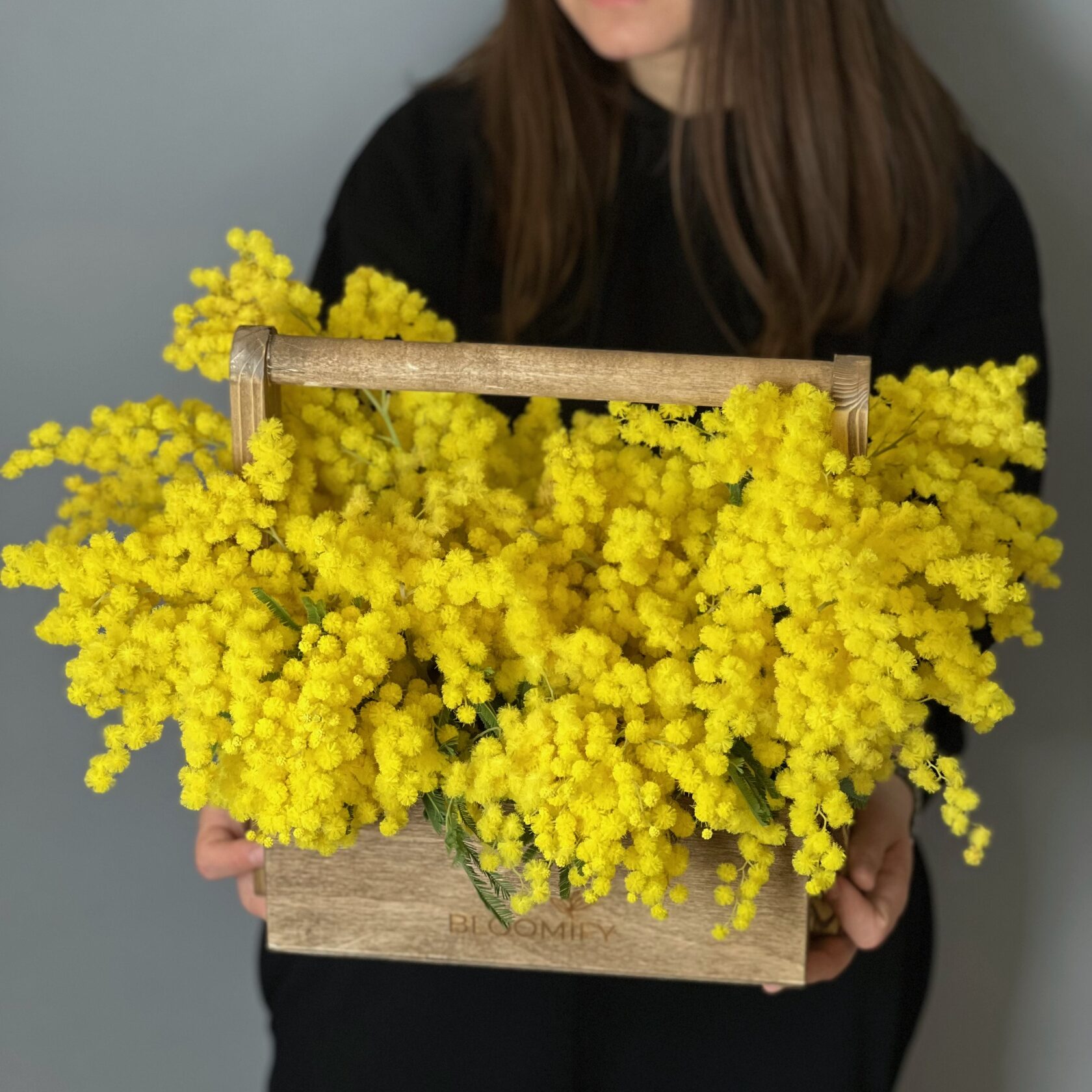 Итальянская мимоза в ящике