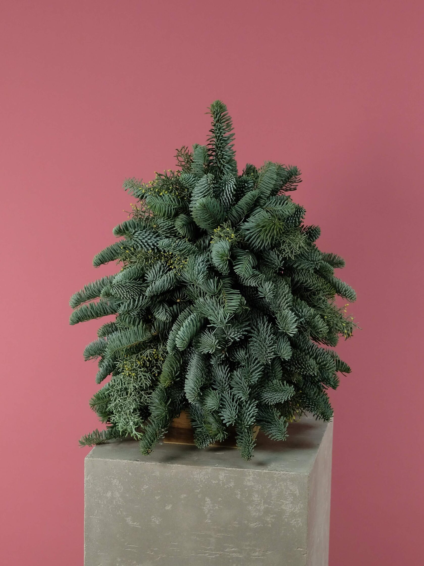 Новогодняя елочка Натураль