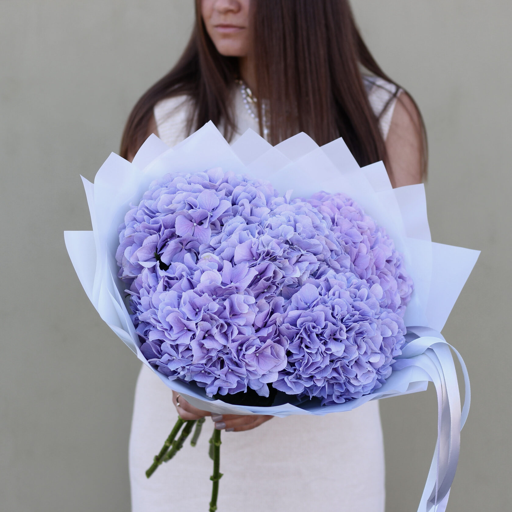 Лавандовые гортензии