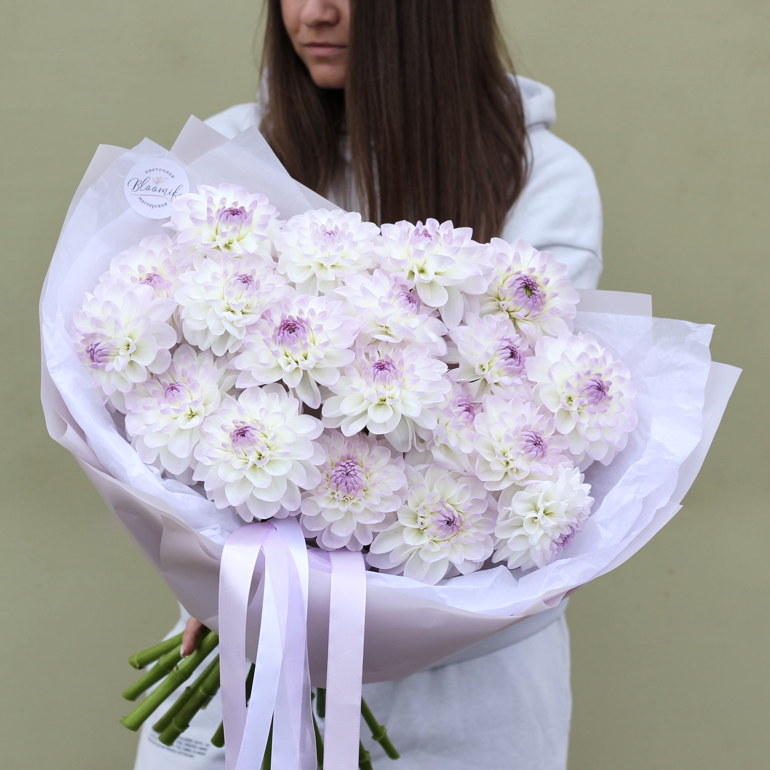 Бело-лиловые георгины