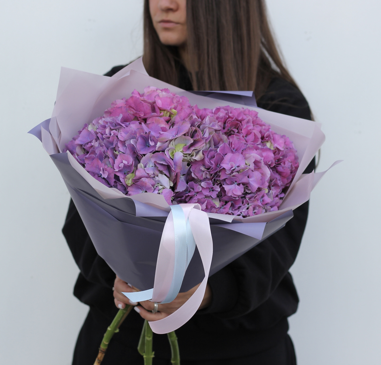 Лиловые гортензии