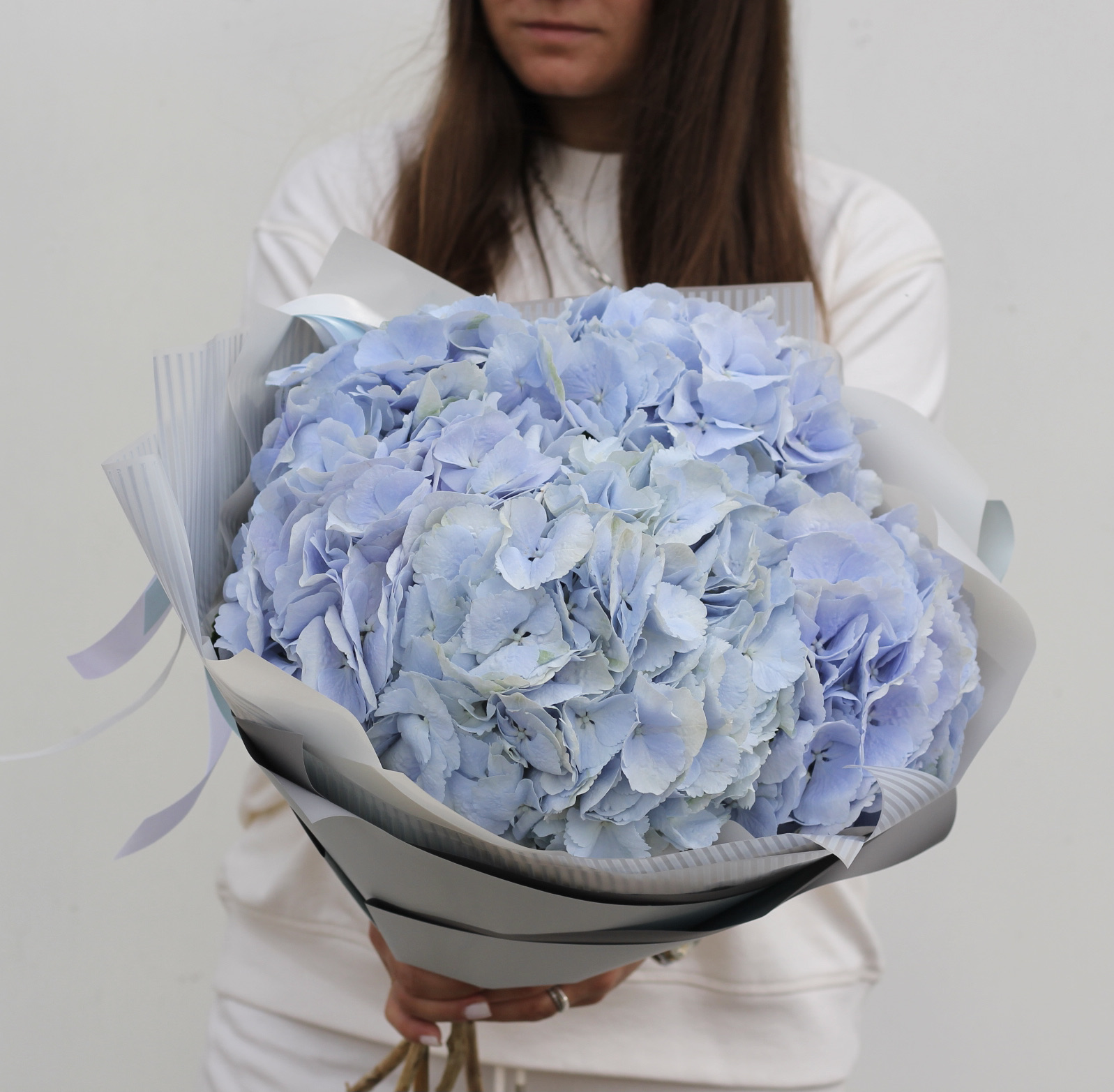 Голубые гортензии
