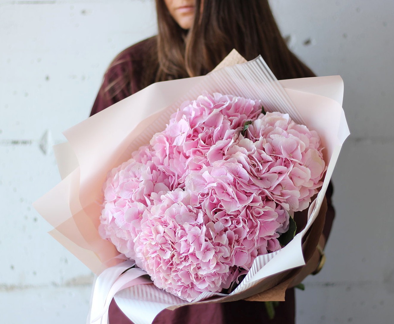 Розовые гортензии