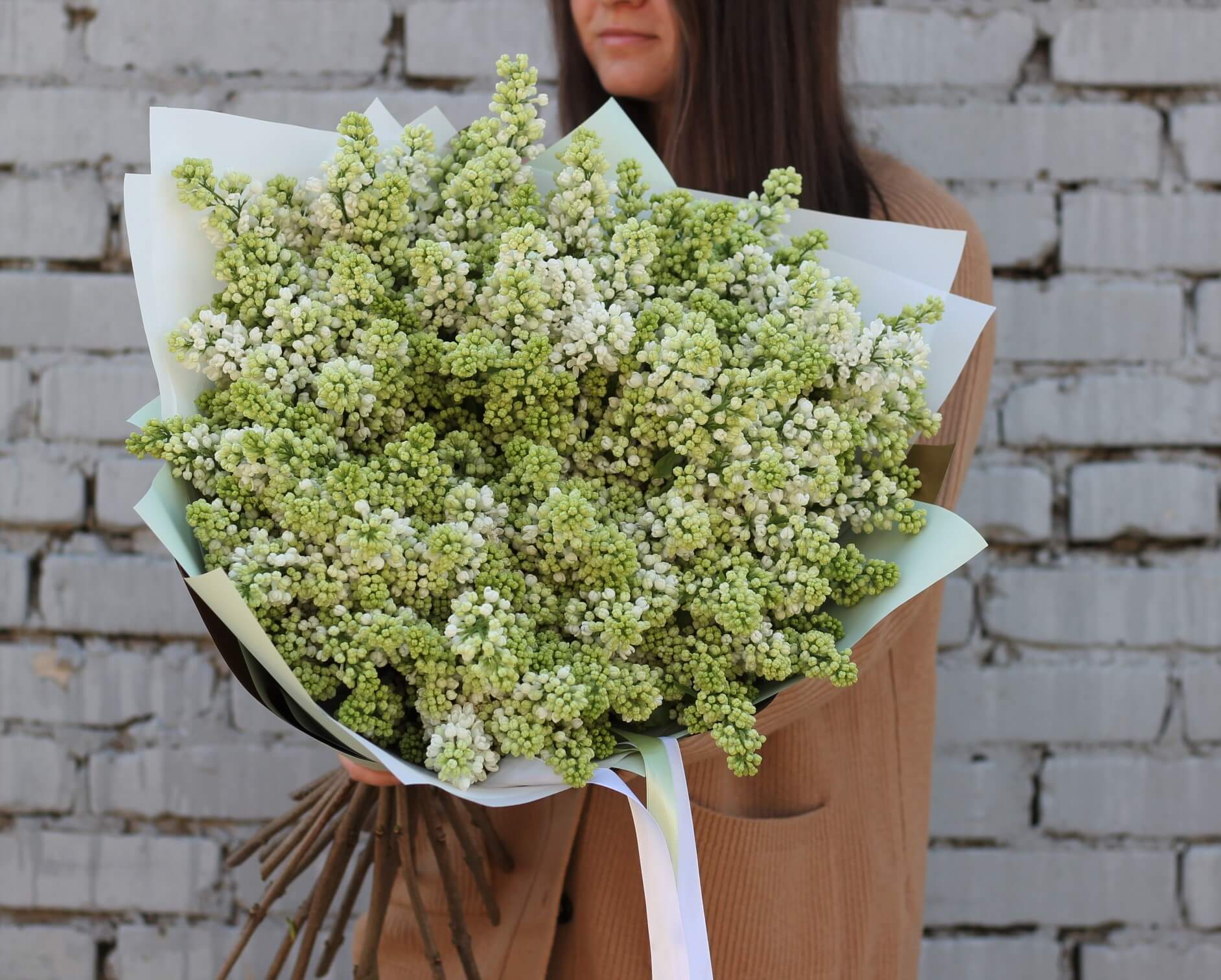 Белая сирень